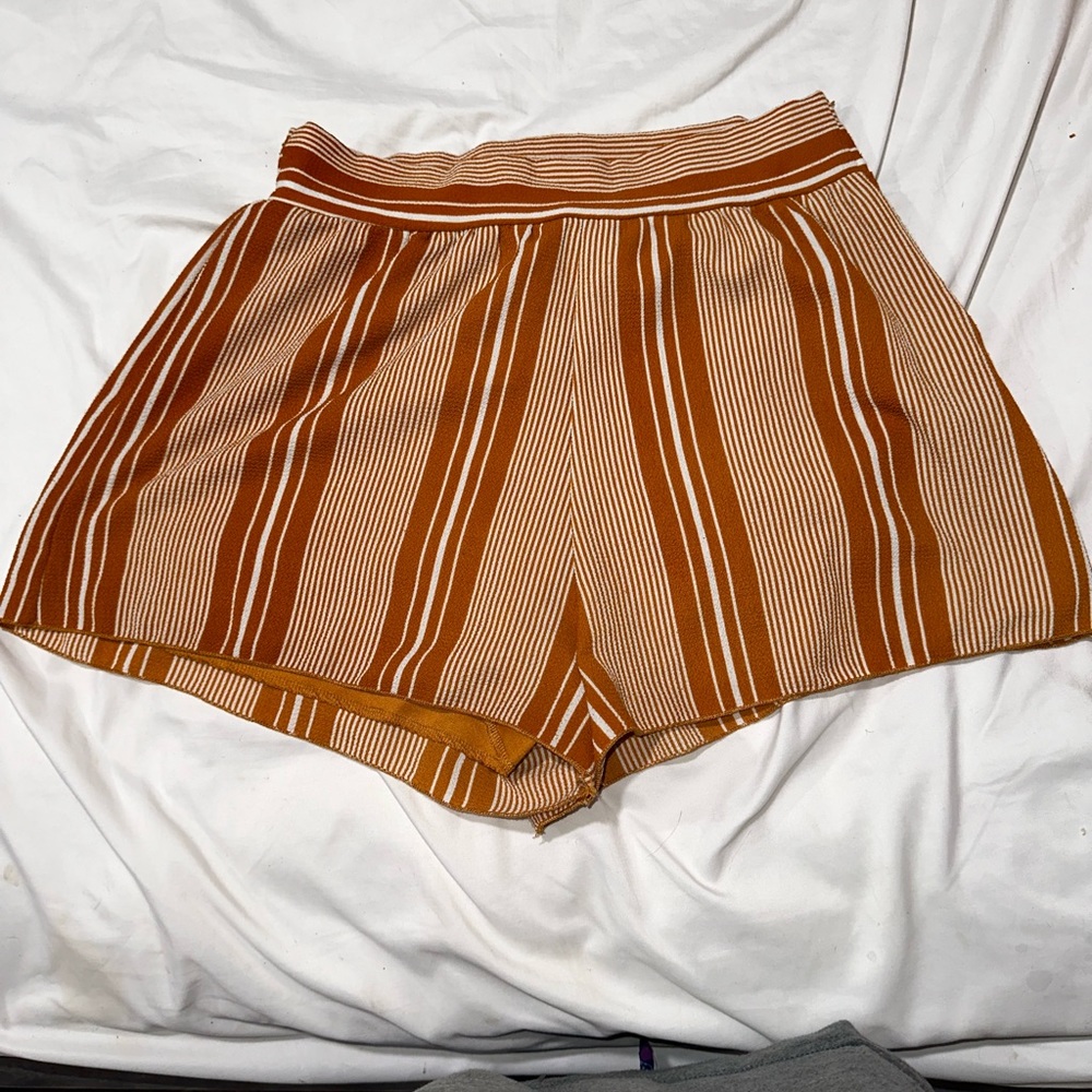 small windsor shorts